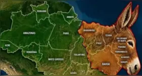 Imagem que associa um burro ao mapa do Nordeste foi usada em uma das manifestações de preconceito regional identificadas pelo estudo após o primeiro turno das eleições.