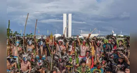 De acordo com a Apib, 191 candidatos se declararam descendentes de povos originários.