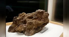 Encontrada em 13 de setembro de 1983 no garimpo de Serra Pelada (PA), a Pepita Canaã pesa 60,8 kg e é o maior exemplar de ouro preservado no mundo.