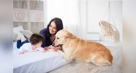 Pets e crianças podem ter uma convivência harmonica e segurança em casa.