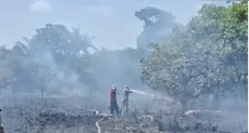 Militares do Corpo de Bombeiros atuaram para conter as chamas na área de vegetação
