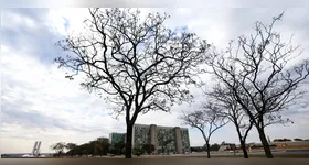 Chuva isolada e temperaturas elevadas marcam o dia