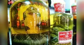 Bebida asiática chama atenção por conter cobra dentro da garrafa de vidro