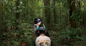 Descubra a Trilha Amazônia Atlântica, uma rota de ecoturismo que liga Belém a Viseu, unindo natureza e cultura ao longo de 468 km no Pará.
