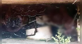 O feto foi encontrado pelo servidor dentro de uma fossa da unidade de saúde em obras