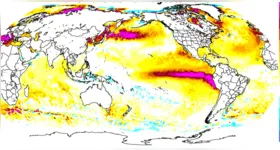 Especialista da UFPA destaca a importância do alerta climático no Pará para antecipar ações contra os possíveis impactos do El Niño, como seca, calor, queimadas e rios baixos.