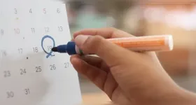 Veja onde é folga no Brasil nesta terça-feira, 20 de outubro.