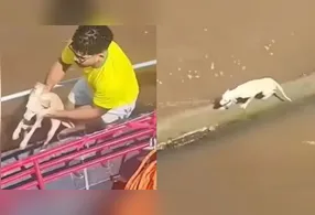 Fabio, pescador de Abaetetuba, registrou o momento