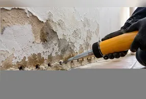 Entre os problemas mais comuns com a umidade estão as manchas escuras, o surgimento de bolor e o desprendimento da pintura e do revestimento.