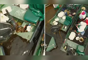 Cobra já havia passado por baixo das embarcações que estavam no rio, antes de entrar no barco.