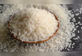 Lavar o arroz antes do cozimento pode alterar a textura do prato; entenda quando o procedimento é indicado.
