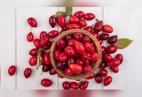 Óleo de rosa mosqueta é utilizado em produtos de cuidados com a pele e pode ajudar na hidratação e aparência de marcas