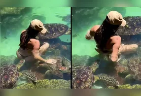 Imagem ilustrativa da notícia VÍDEO: Tartaruga morde bumbum de modelo durante ensaio fotográfico