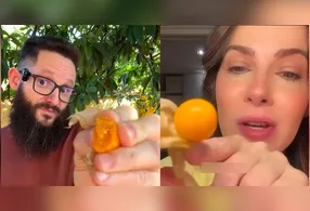 O camapu é muito utilizado na culinária amazônica.