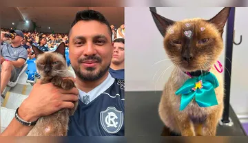 Imagem ilustrativa da imagem Vídeo: Torcedor do Remo adota gata que viralizou na web; conheça a história