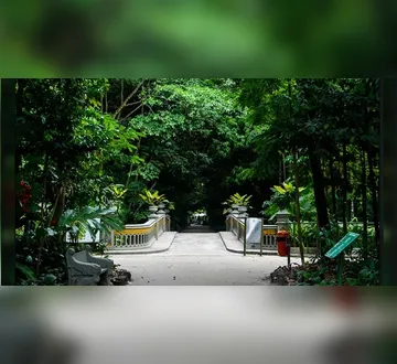 Imagem ilustrativa da imagem Espaços revitalizados do Bosque Rodrigues Alves serão entregues neste domingo (23/08)