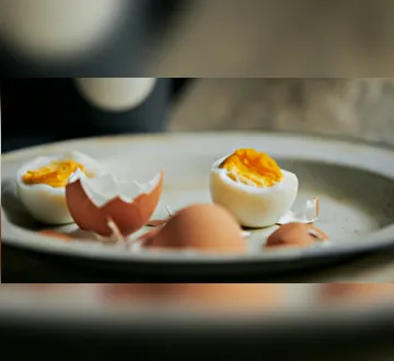 Imagem ilustrativa da imagem Quantos ovos por dia? Veja como o alimento pode ajudar na dieta