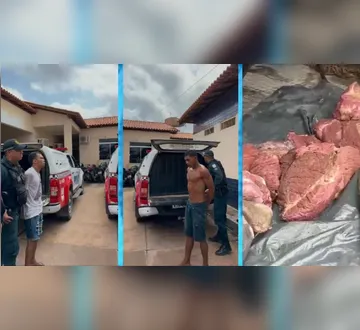 Imagem ilustrativa da imagem Trio furta e mata touro de R$ 18 mil para vender carne