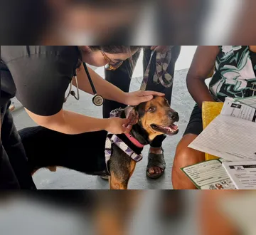 Imagem ilustrativa da imagem Ação oferece serviços gratuitos para cães e gatos no Jurunas