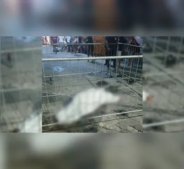 Imagem ilustrativa da imagem Travesti é esfaqueada e morre após pedir socorro na Praça da República