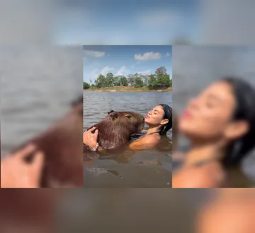 Imagem ilustrativa da imagem Influencer toma banho com capivara no Pará e se expõe a doença fatal