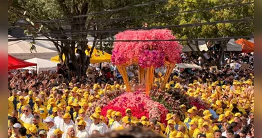 A 234ª edição do Círio de Nazaré reuniu 2,3 milhões de fiéis em Belém, marcando uma celebração de fé e segurança. Confira os detalhes!