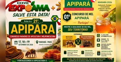 Imagem ilustrativa da imagem Marabá sediará congresso de apicultura durante a Expoama