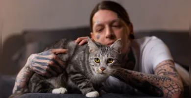 Imagem ilustrativa da imagem Especialistas explicam como um gato escolhe sua pessoa favorita; veja