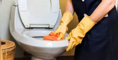 Imagem ilustrativa da imagem Vaso sanitário: faça essa mistura e acabe com a crosta de sujeira acumulada