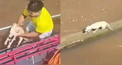 Fabio, pescador de Abaetetuba, registrou o momento