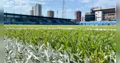 Imagem ilustrativa da notícia Paysandu: reforma no gramado da Curuzu deve começar em outubro