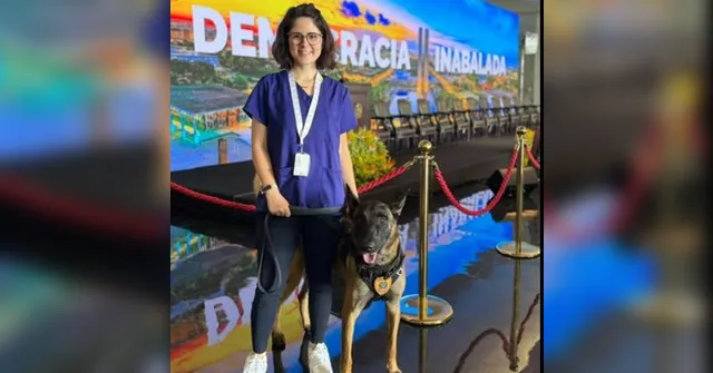 Imagem ilustrativa da notícia Veterinária é atacada por cão do Senado e fica em estado grave