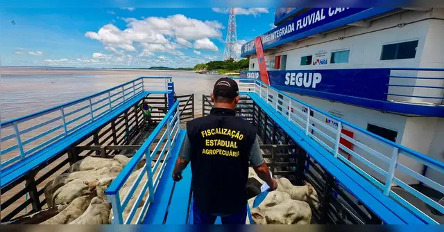 Imagem ilustrativa da notícia Operações nos rios do Pará apreendem 7,8 toneladas de drogas