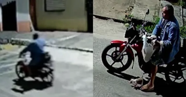 Imagem ilustrativa da notícia Câmera registra abandono de filhotes de cachorro no Tenoné, em Belém