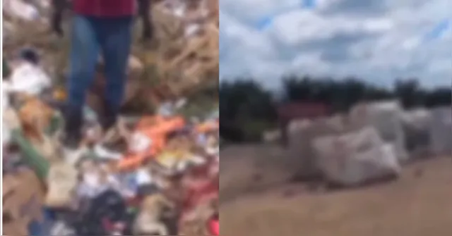 Imagem ilustrativa da notícia Corpo de recém-nascido é encontrado em lixão no interior do Pará