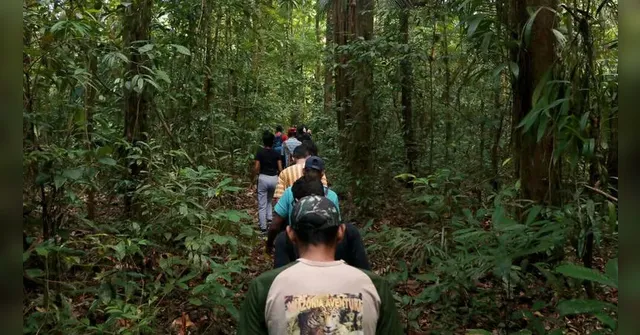 Imagem ilustrativa da notícia Trilha que liga Belém a Viseu integra plano nacional de ecoturismo
