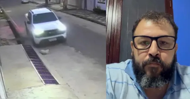 Imagem ilustrativa da notícia Cachorro atropelado em Abaetetuba passa por cirurgia e ainda corre risco