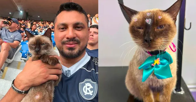 Imagem ilustrativa da notícia Vídeo: Torcedor do Remo adota gata que viralizou na web; conheça a história