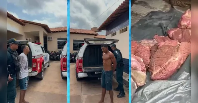 Imagem ilustrativa da notícia Trio furta e mata touro de R$ 18 mil para vender carne