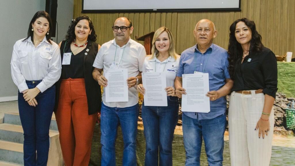 Descubra como municípios do Pará criam planos locais para enfrentar as mudanças climáticas, envolvendo comunidades tradicionais e fortalecendo a proteção ambiental.