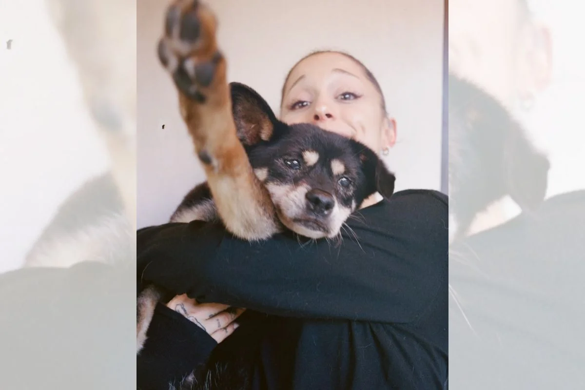 Coco, cachorrinha de 17 anos, morreu e comoveu a web.