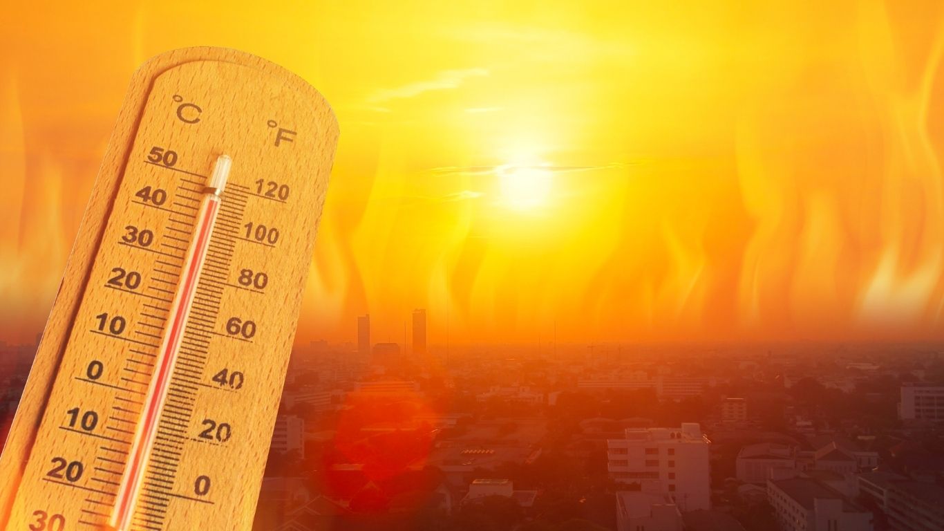 Relatório do Pnuma destaca que corte de emissões e remoção de carbono podem devolver temperaturas a limites seguros.