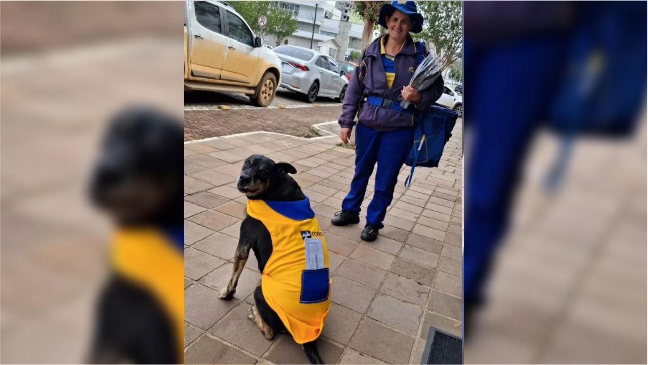 O cão Duque caminha lado a lado com a servidora Marlene Trevizan durante o trajeto diário de entregas em Paraí, no interior gaúcho.