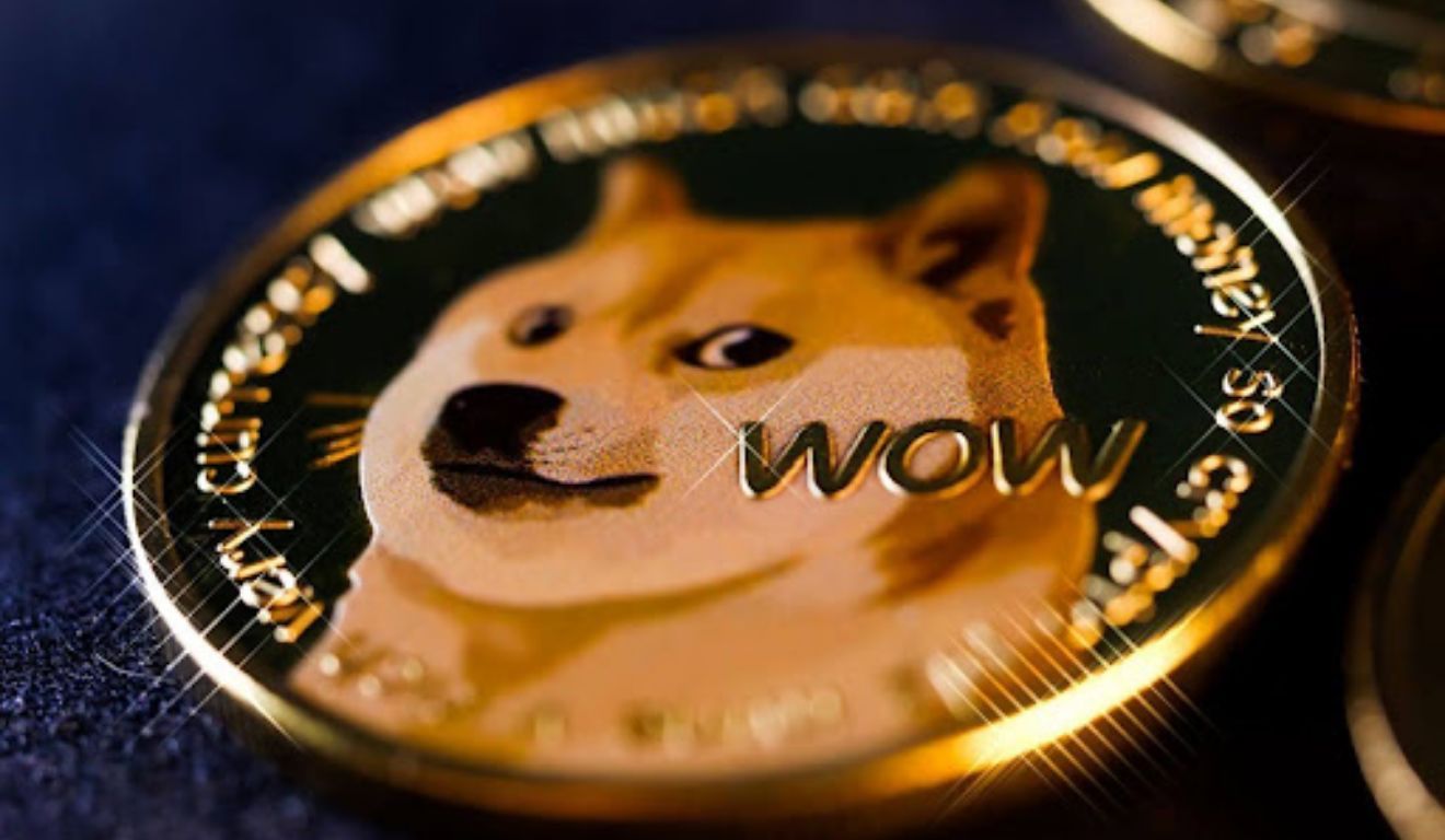 Dogecoin, a moeda do meme, ajudou a financiar causas solidárias e a fortalecer sua comunidade