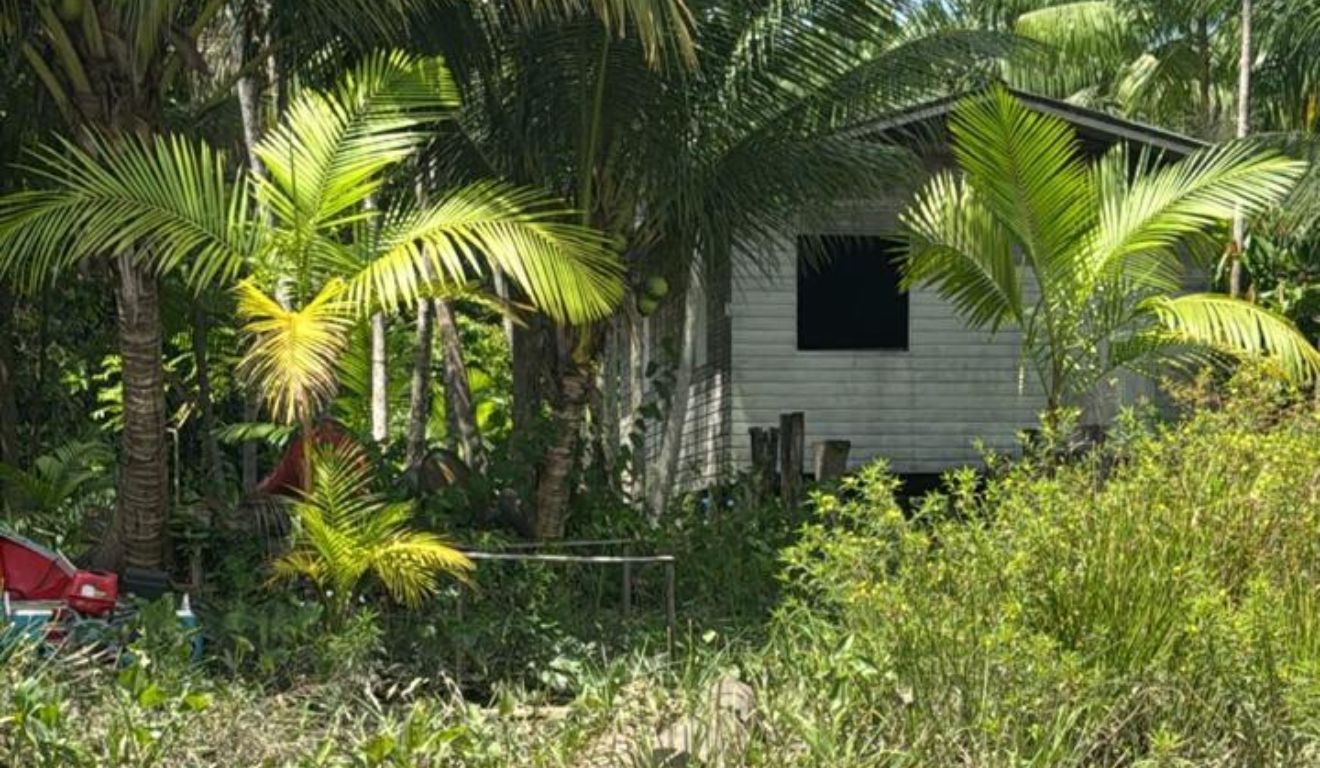 O companheiro da vítima foi localizado nas proximidades da residência. Assim que identificado, recebeu voz de prisão das autoridades.