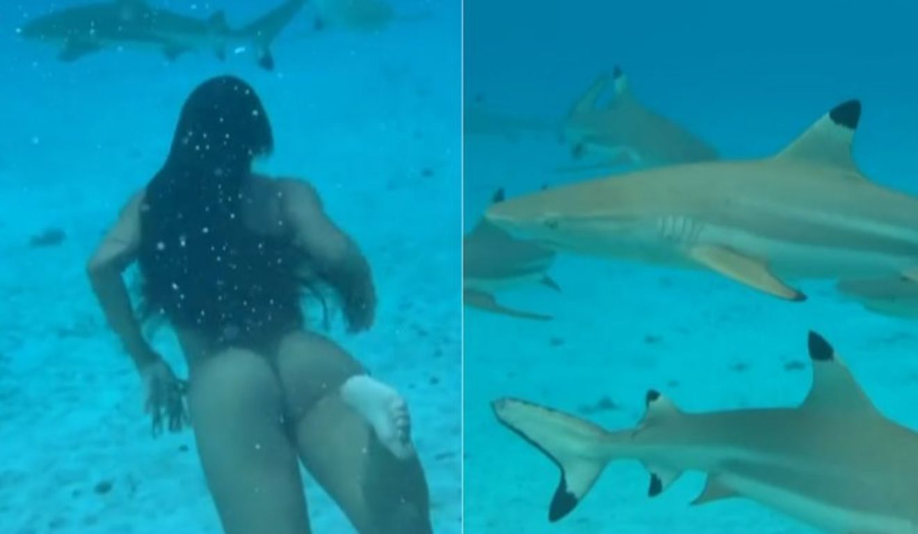 A esposa do surfista não teve medo e fez o mergulho junto com os tubarões