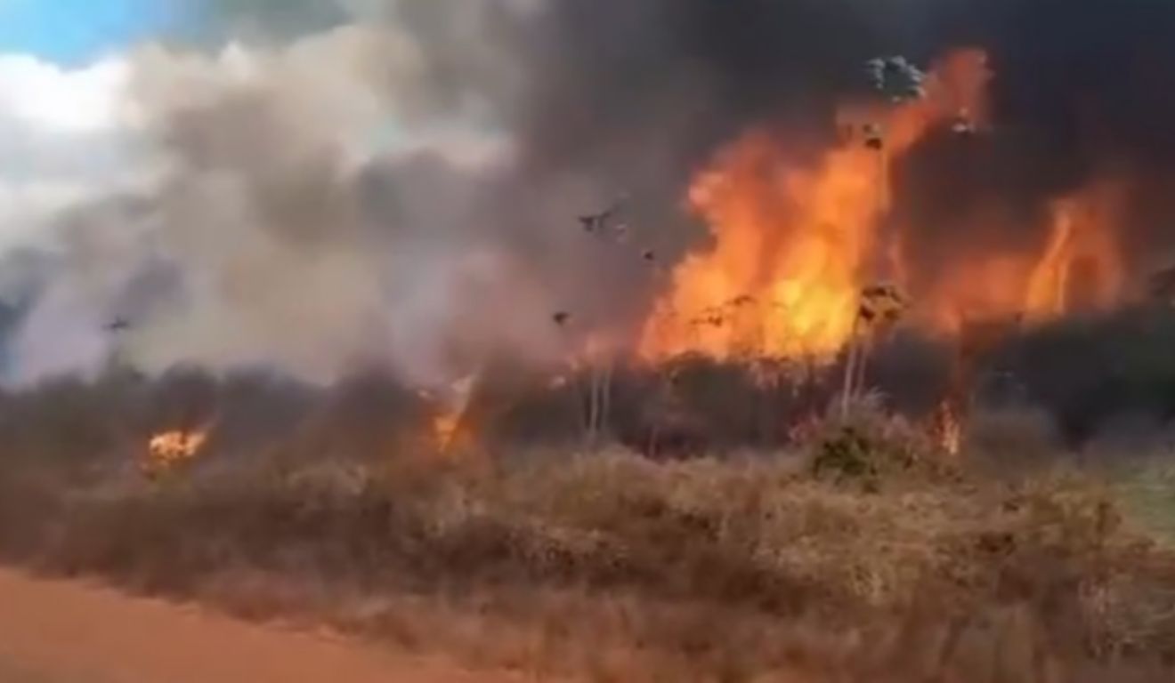O incêndio começou pela vegetação da área e quase alcançou residências