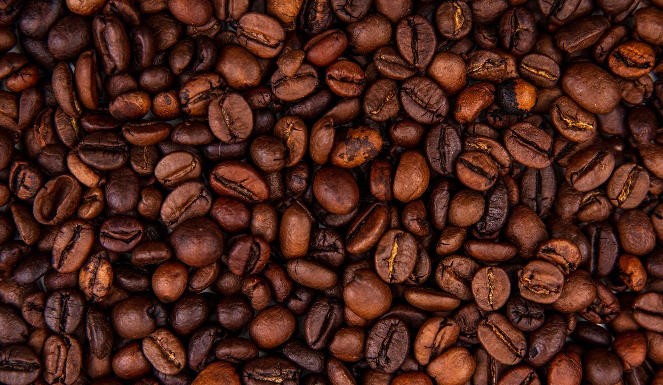 Estudo finlandês encontrou associação entre maior consumo de café, menor gordura corporal e maior massa muscular esquelética.