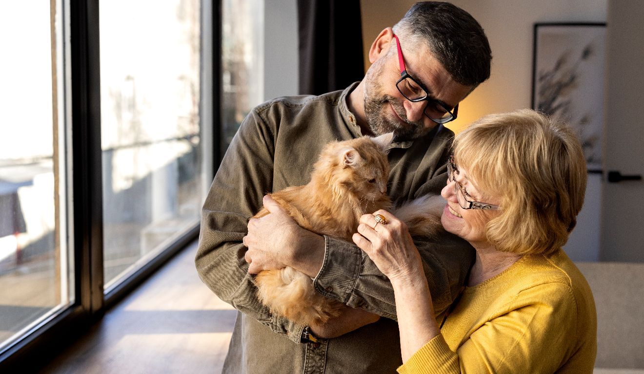 Os pesquisadores apontam que a relação entre a presença de gatos e o bem-estar da população também pode estar associada às condições econômicas de cada país.