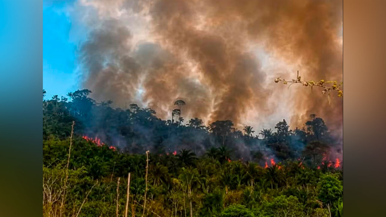 Fumaça encobre vegetação na Terra Indígena Apyterewa, no sul do Pará, onde queimadas ameaçam áreas de floresta densa e aldeias do povo Parakanã.